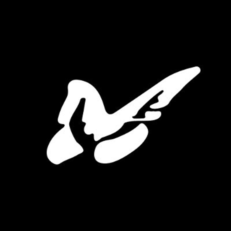 Prime Intellect white abstract bird-and-quill logo on a black square